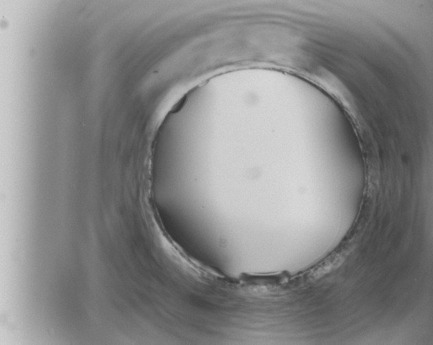 X0000086331524200704271929