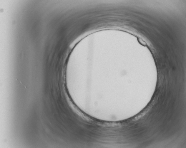 X0000086331526200704271929