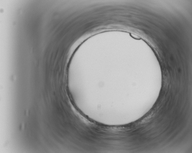 X0000086331527200704271929