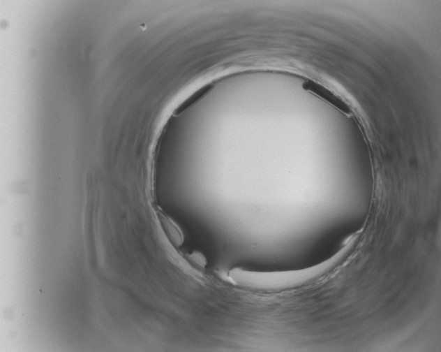 X0000086331528200704271929