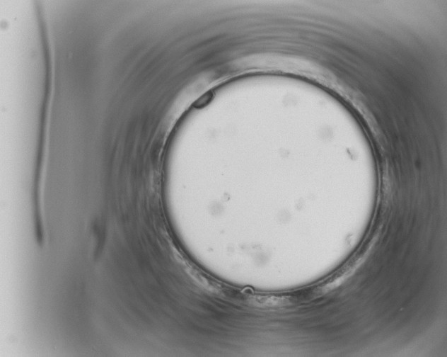 X0000086331529200704271929