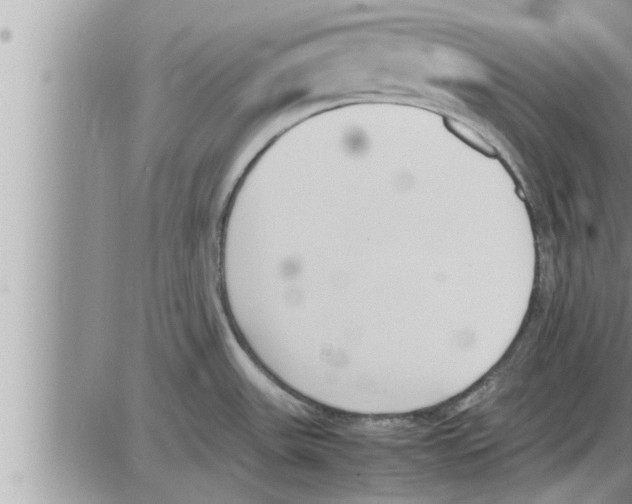 X0000086331531200704271929