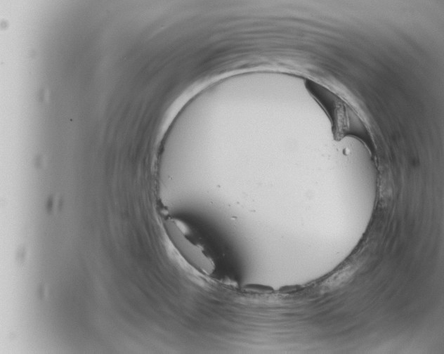 X0000086331532200704271929