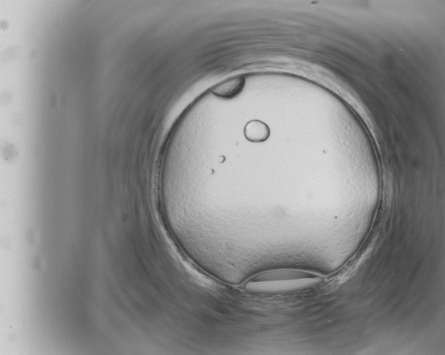 X0000086331533200704271929