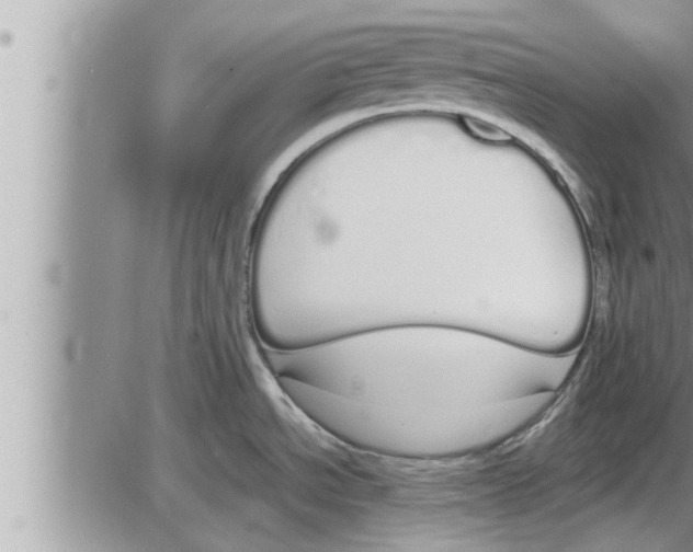 X0000086331534200704271929