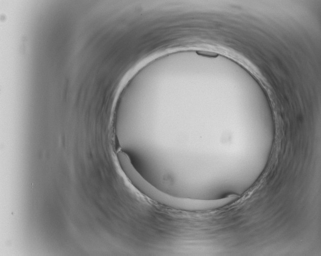 X0000086331536200704271930