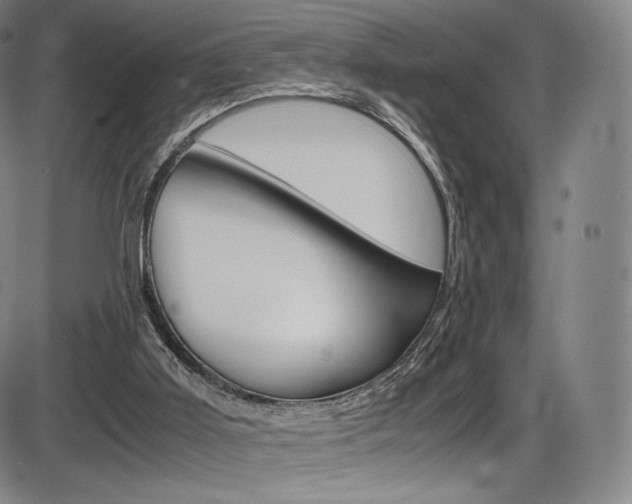 X0000086340011200703301008