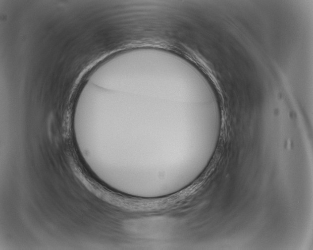 X0000086340012200703301008