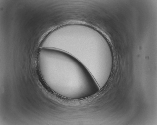 X0000086340015200703301008