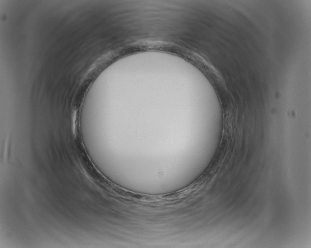 X0000086340024200703301008