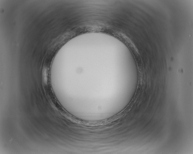 X0000086340026200703301008