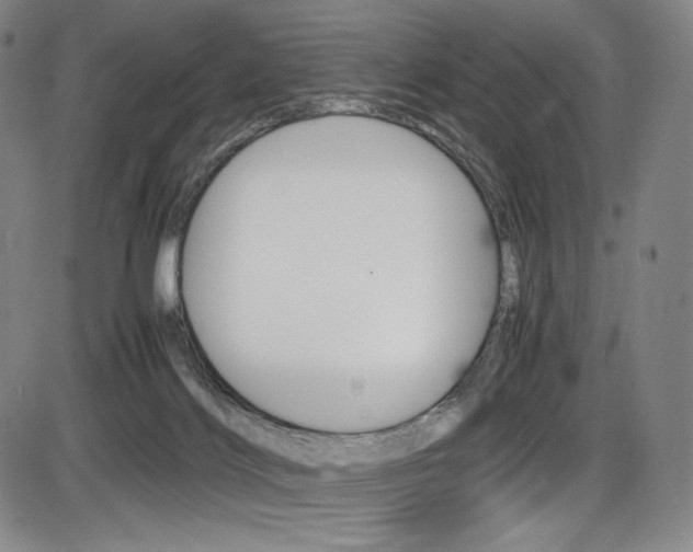 X0000086340028200703301008
