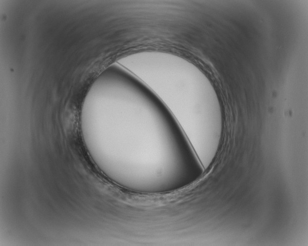 X0000086340029200703301008