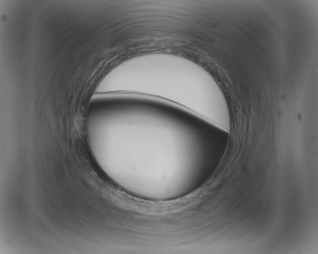 X0000086340035200703301008