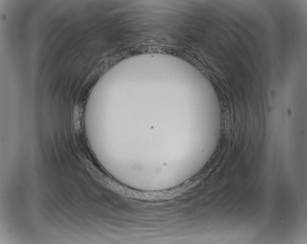 X0000086340038200703301008