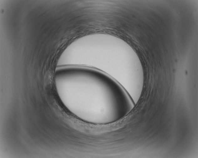 X0000086340039200703301008