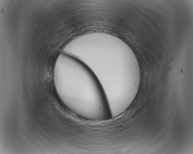 X0000086340040200703301008