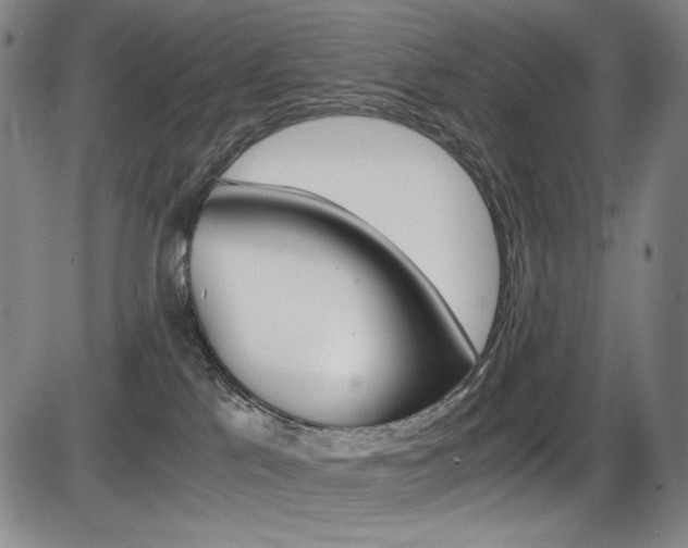X0000086340041200703301008