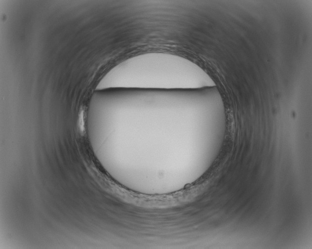 X0000086340042200703301008