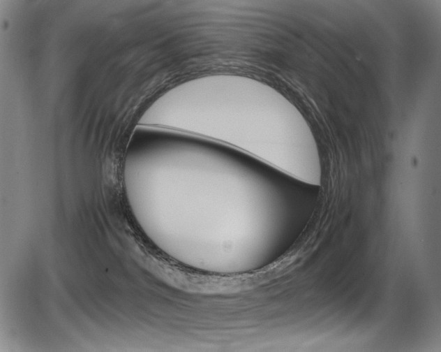 X0000086340044200703301008