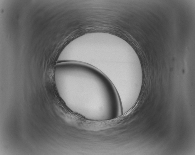 X0000086340045200703301008