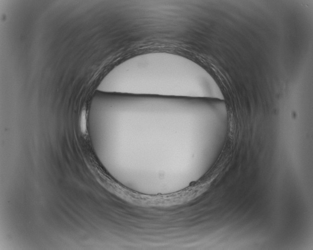 X0000086340046200703301008