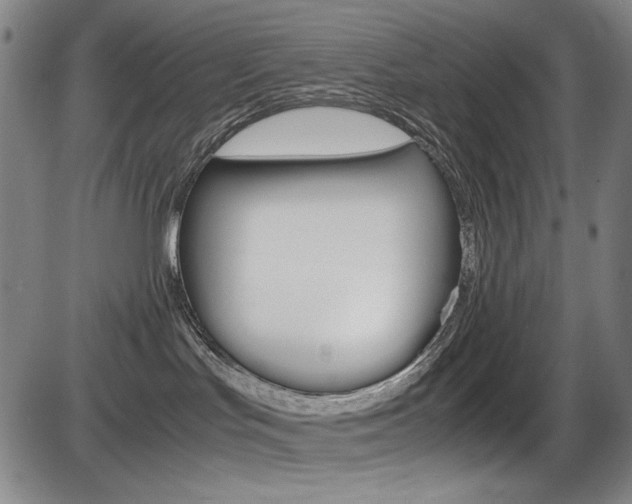 X0000086340047200703301008