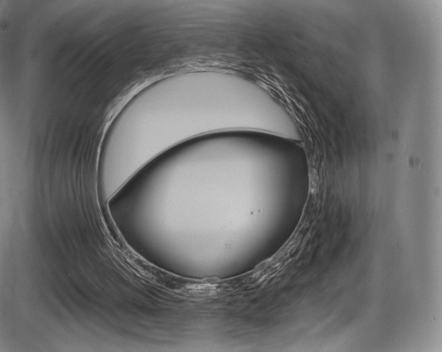 X0000086340052200703301007