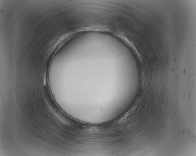 X0000086340062200703301007