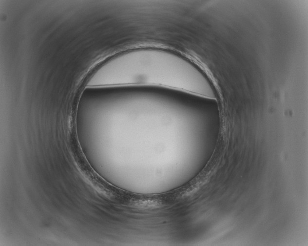 X0000086340063200703301007