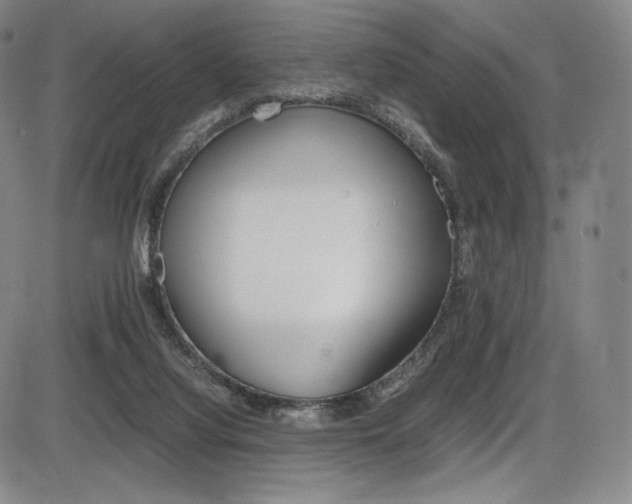 X0000086340068200703301007