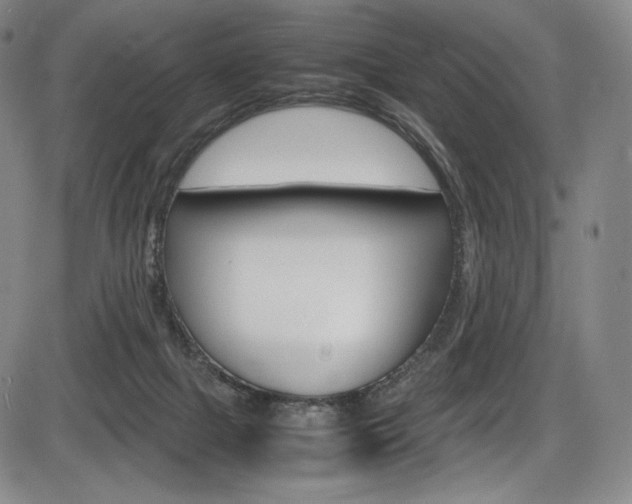 X0000086340073200703301007