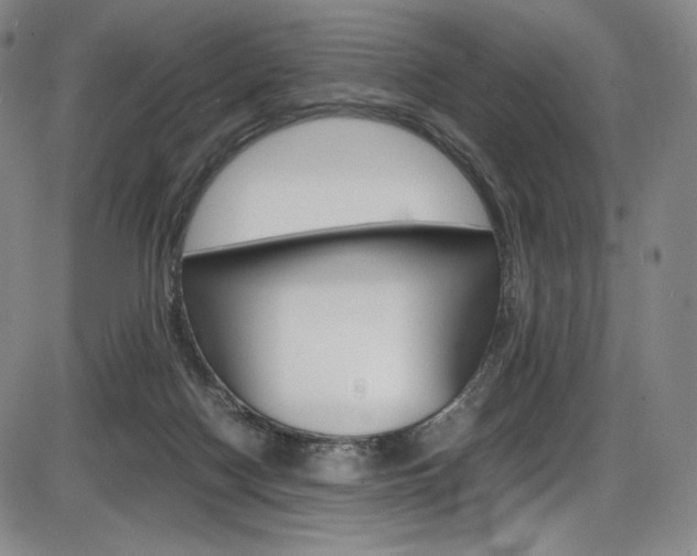 X0000086340074200703301007