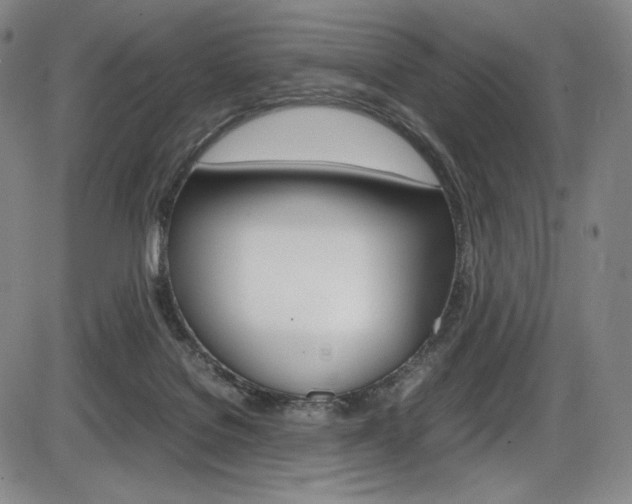 X0000086340076200703301007