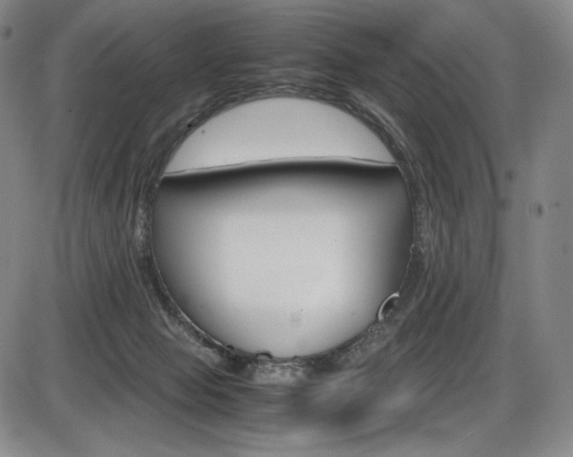 X0000086340077200703301008