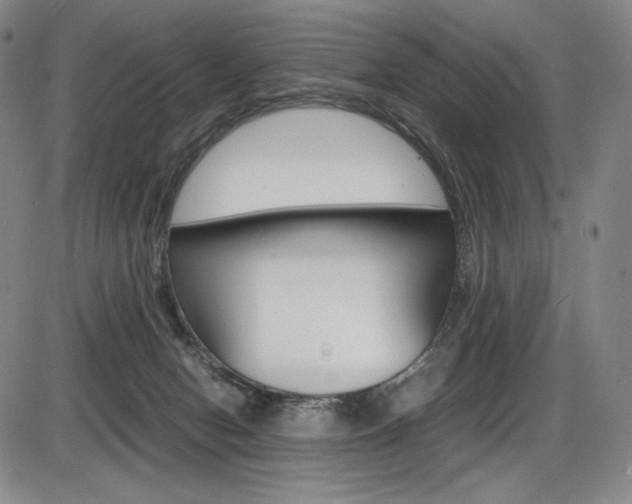 X0000086340078200703301008