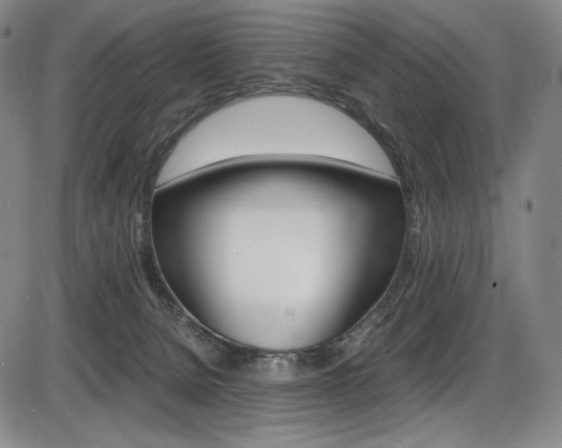 X0000086340080200703301008