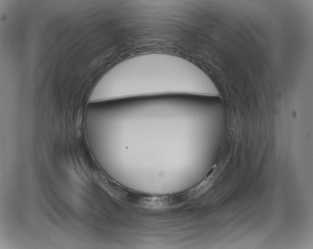 X0000086340082200703301008