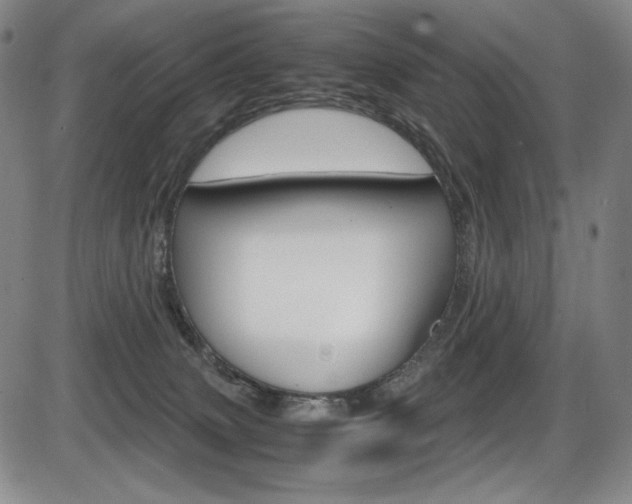 X0000086340083200703301008