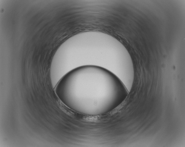 X0000086340084200703301008