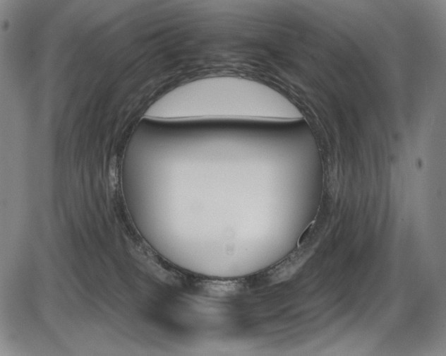 X0000086340085200703301008