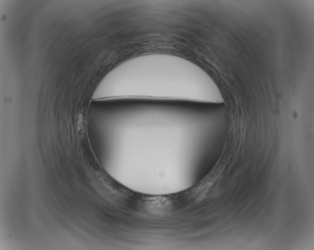 X0000086340087200703301008