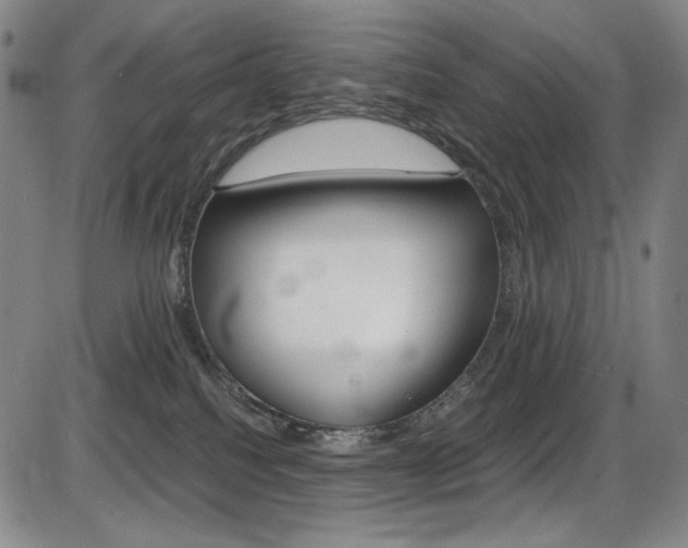 X0000086340088200703301008
