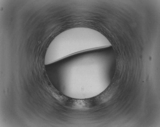 X0000086340091200703301008