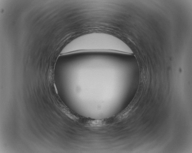 X0000086340092200703301008