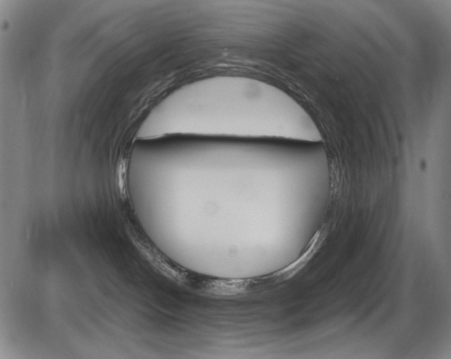 X0000086340094200703301008