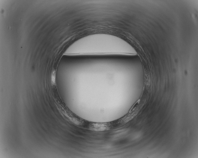 X0000086340095200703301008