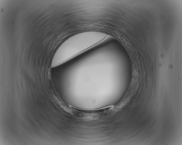 X0000086340096200703301008