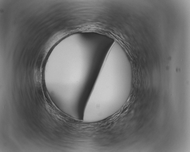 X0000086340100200703301007