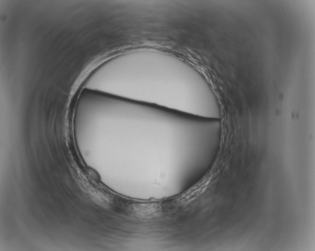 X0000086340102200703301007